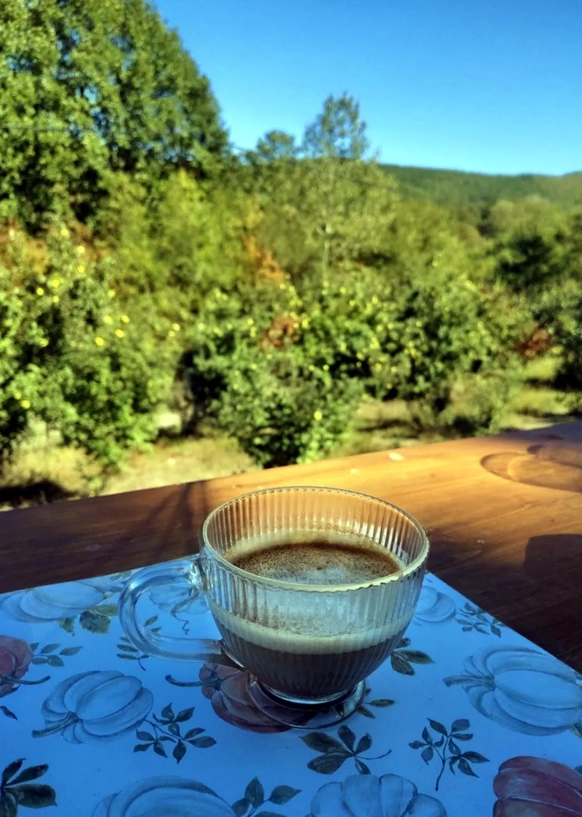 Jutarnja kafa na terasi šatora sa pogledom na zelenilo